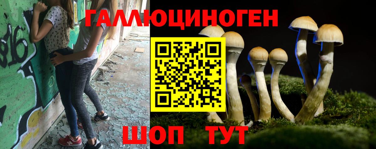 Псилоцибиновые грибы Psilocybine cubensis  Псилоцибиновые грибы Cubensis  Благодарный  Вход с VPN 